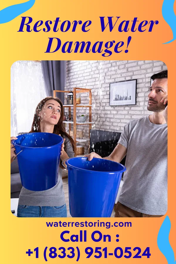 water restoration Citywide Extraction Brothers Timonium
