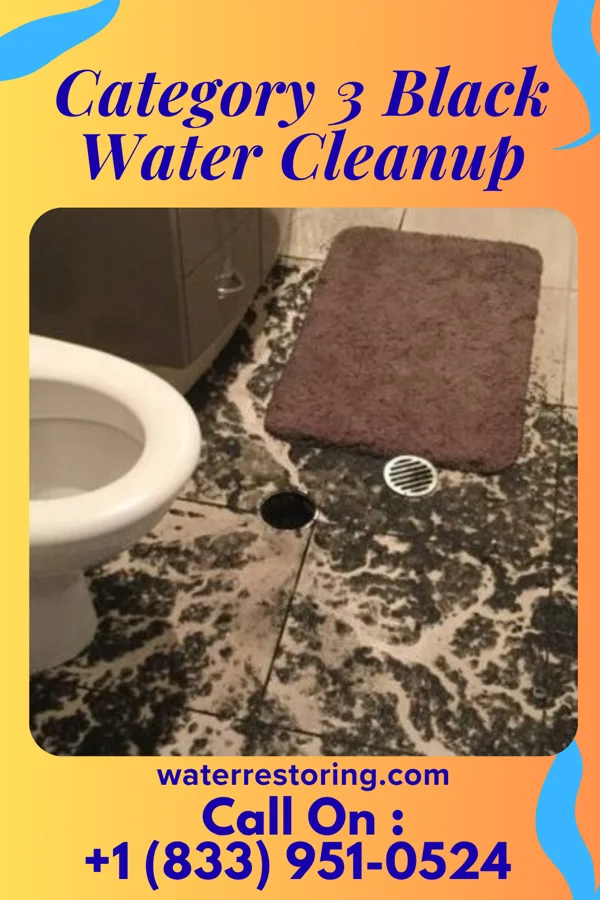 Category 3 Black Water Cleanup in Timonium, MD