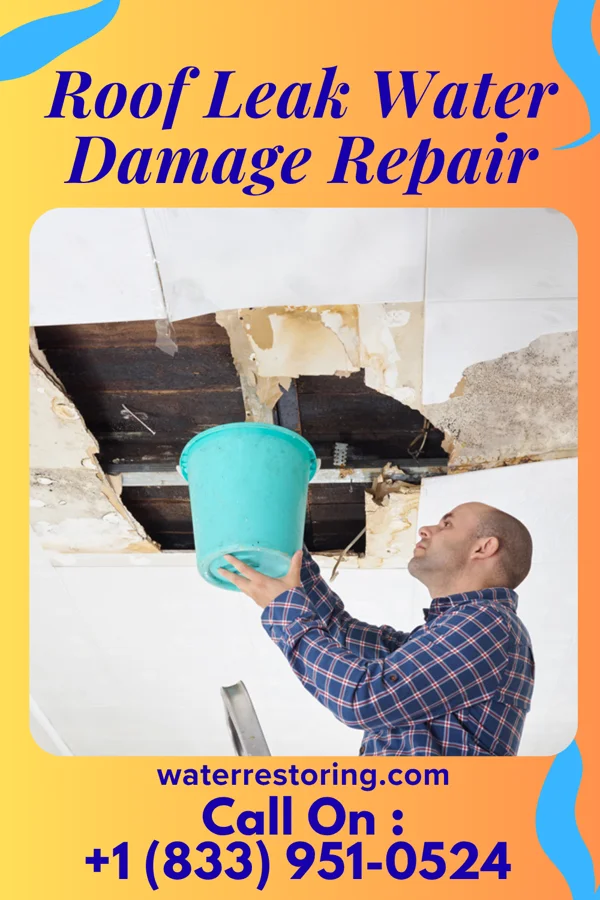 Roof Leak Water Damage Repair in Timonium, MD