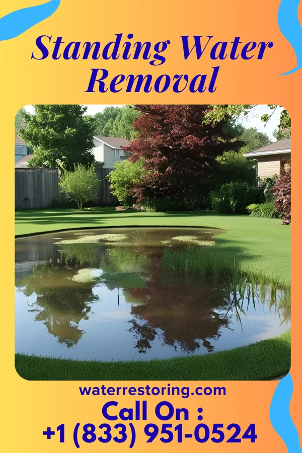 Standing Water Removal in Timonium, MD